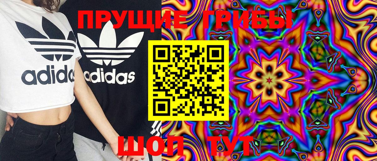 где найти   Псилоцибиновые грибы Magic Shrooms  Вход с VPN  Ялуторовск 