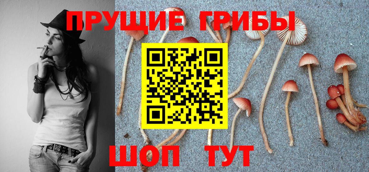 Галлюциногенные грибы GOLDEN TEACHER Ялуторовск